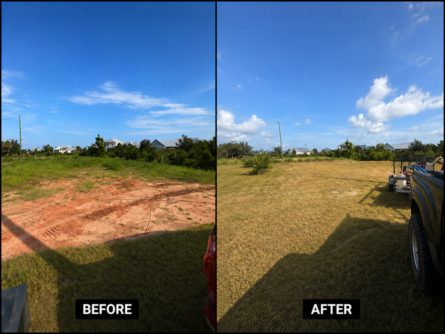 Lawn Care Before and After